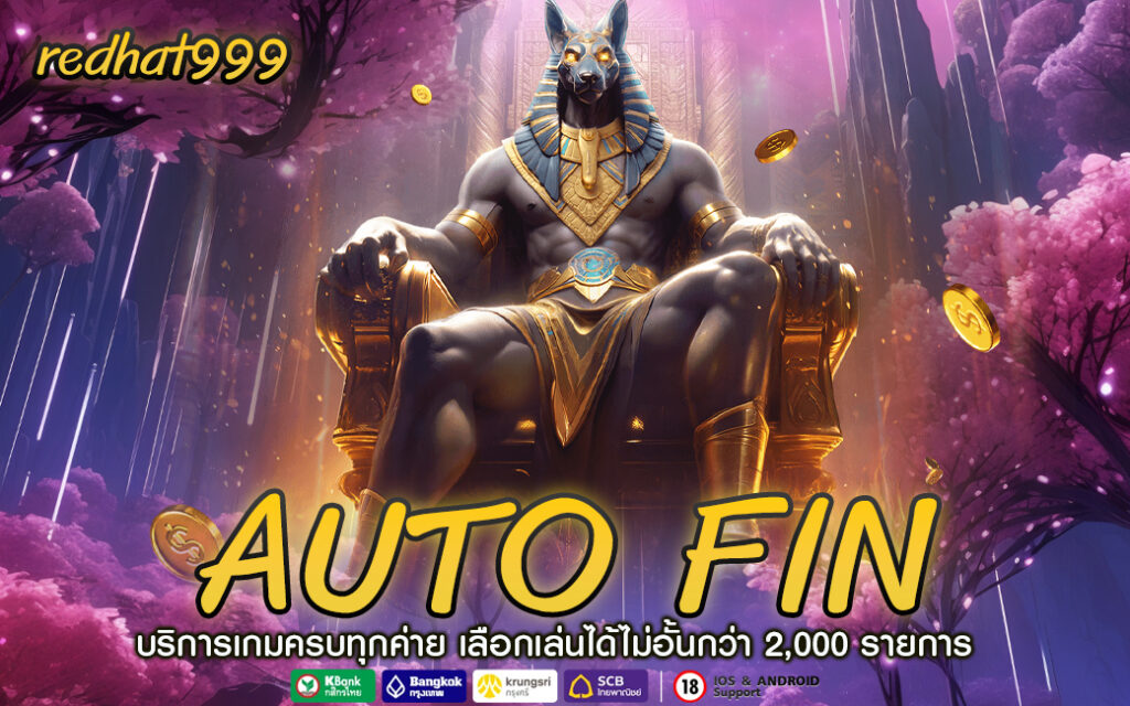 AUTO FIN