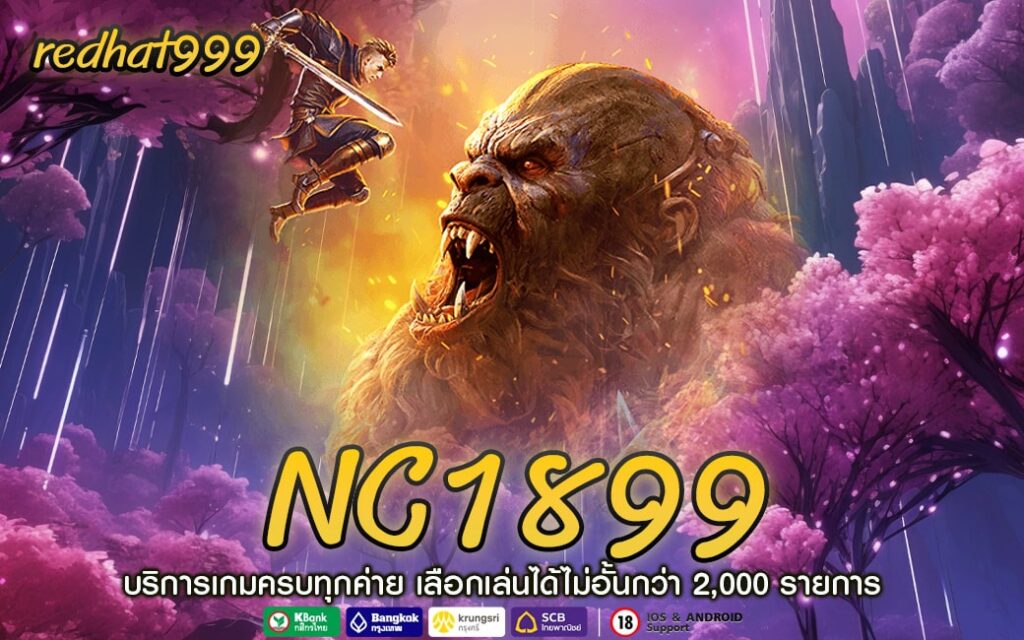 NC1899-min