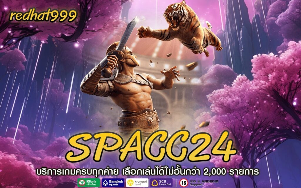 SPACC24-min