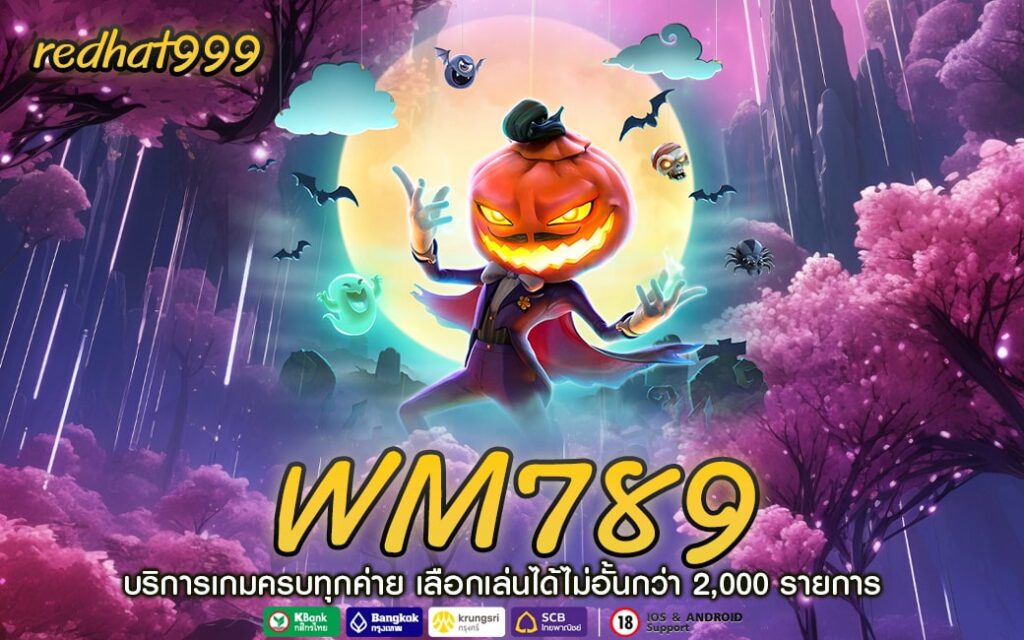 WM789-min
