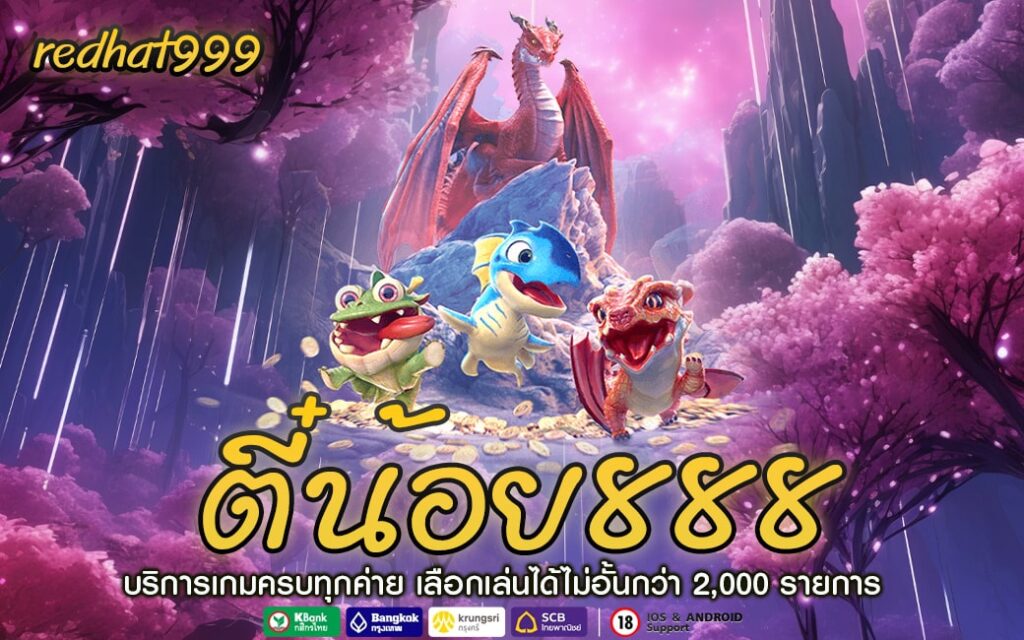 ตี๋น้อย888-min