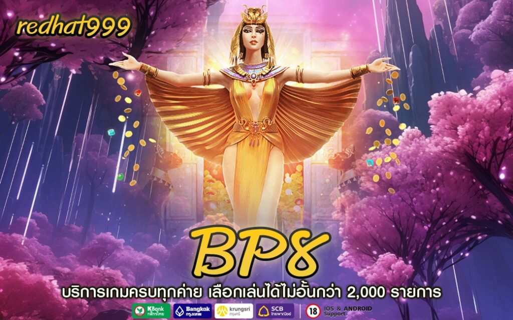BP8-min