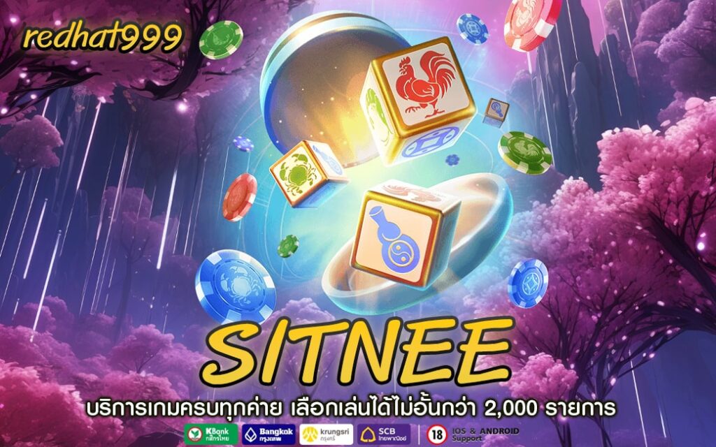 SITNEE-min