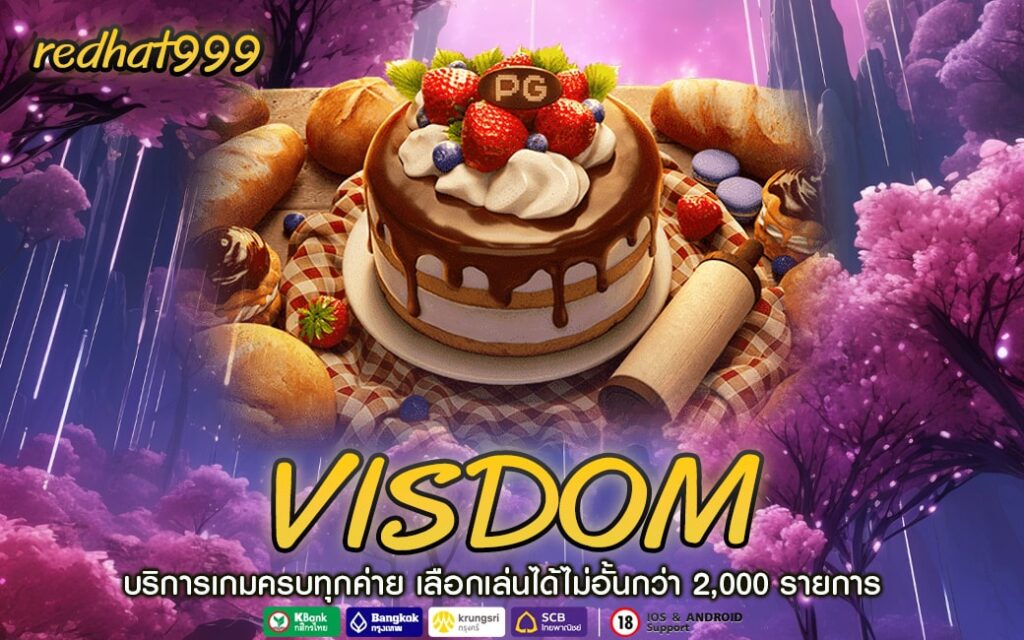 VISDOM-min
