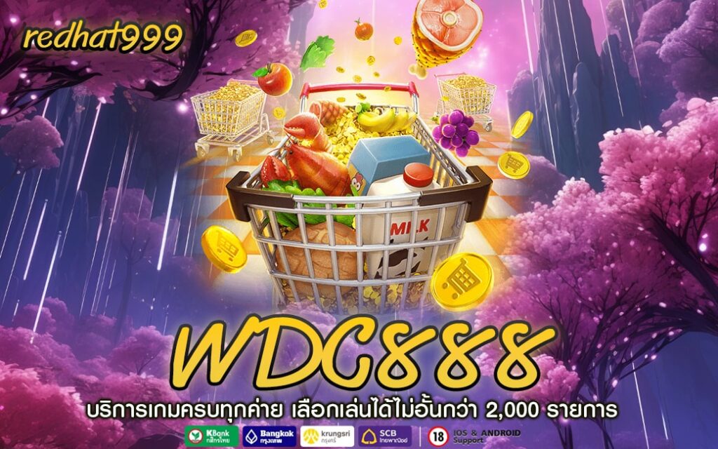 WDC888-min