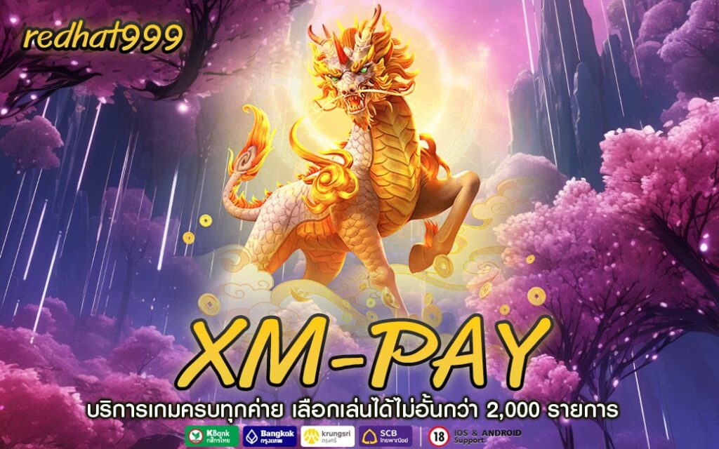 XM-PAY-min