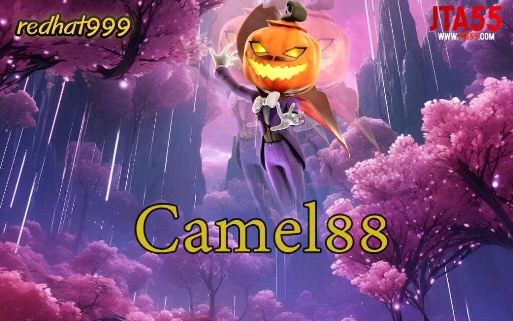 Camel88-min