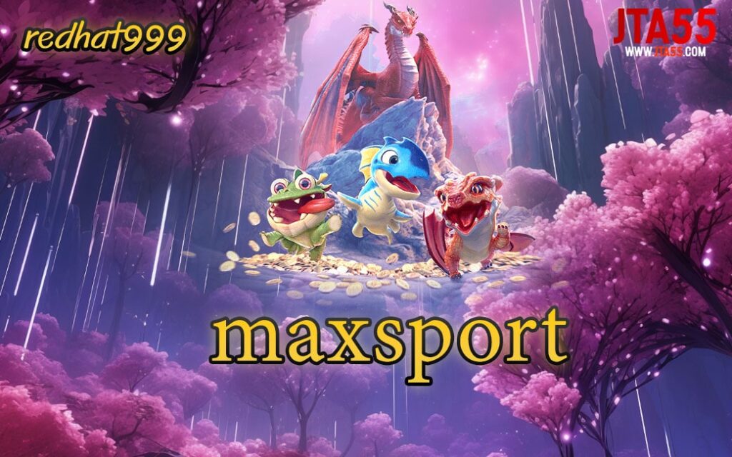 maxsport z-min